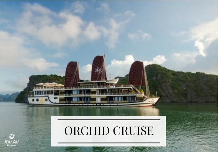 ORCHID-CRUISE